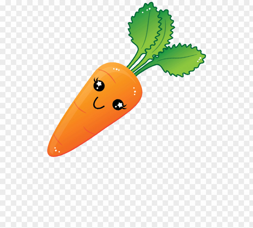Cartoon Kiwi Carrot Animation Vegetable Clip Art PNG