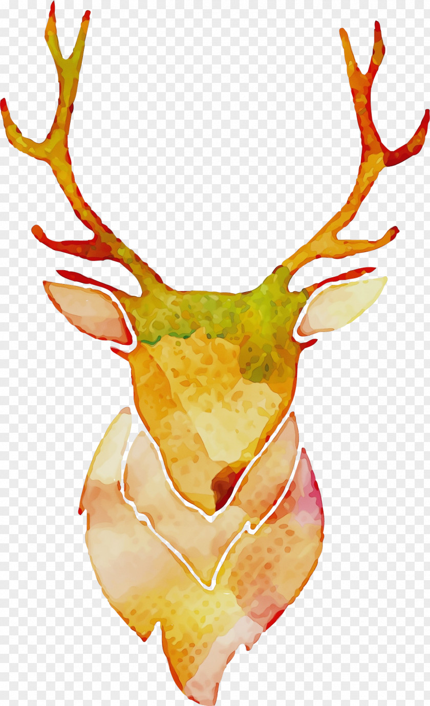 Elk Deer Reindeer PNG