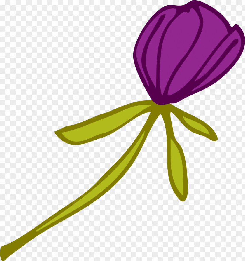 Purple Tulips Yellow Flower Plant Violet PNG