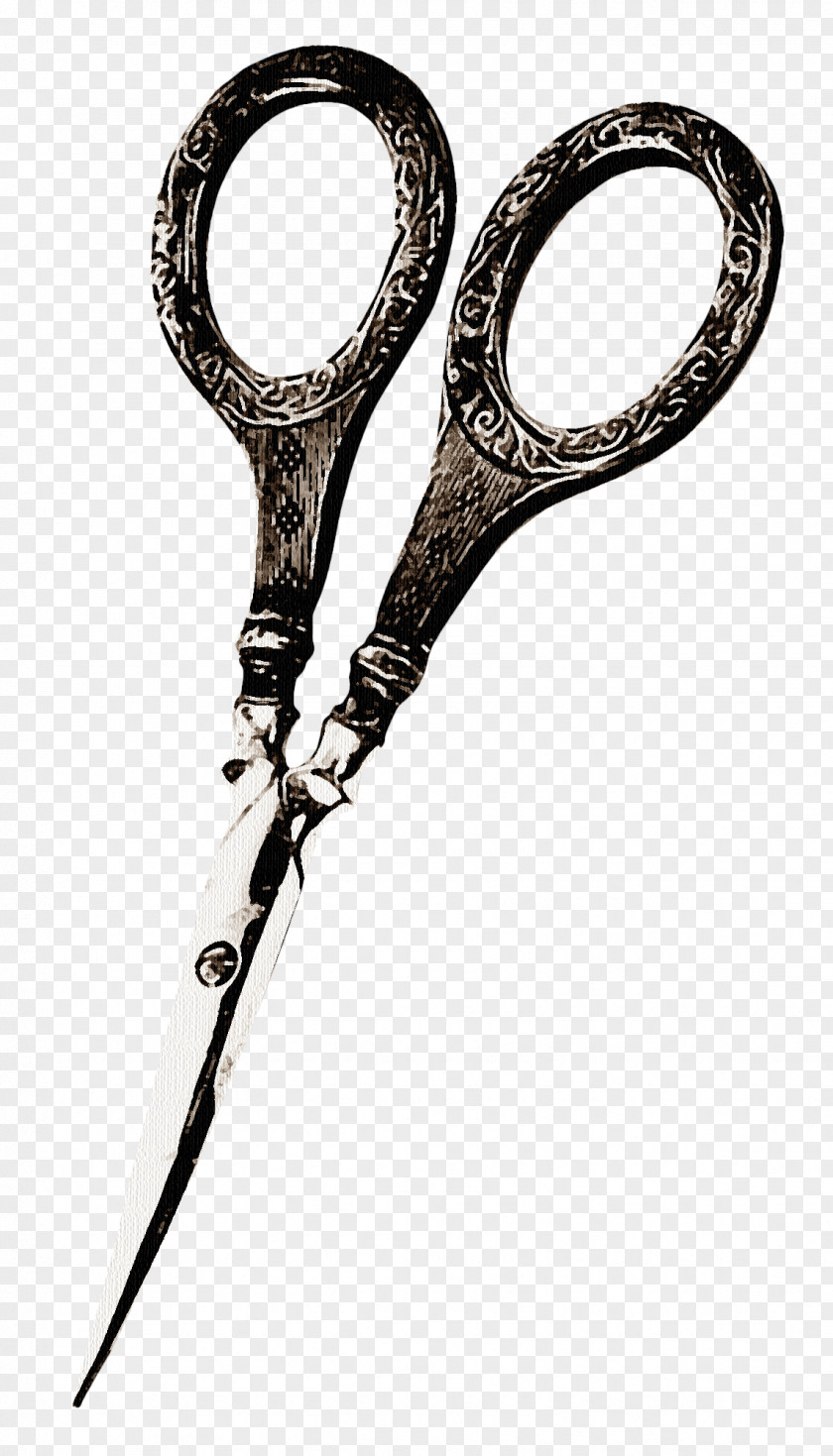 Scissors Icon PNG