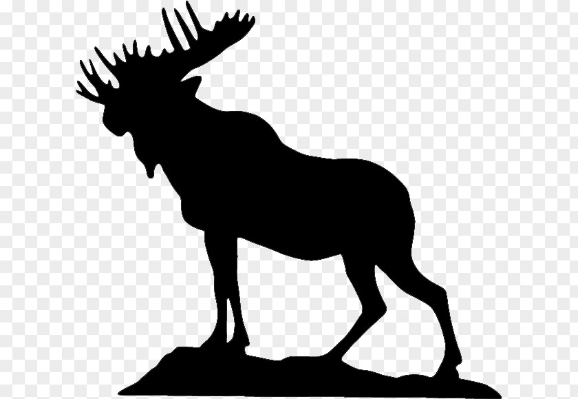 Coloring Book Chamois Silhouette PNG