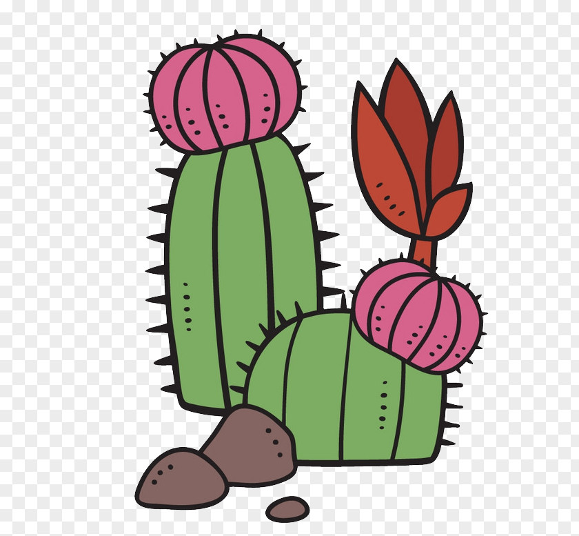 Flowering Cactus Succulent Plant Cartoon Cactaceae PNG