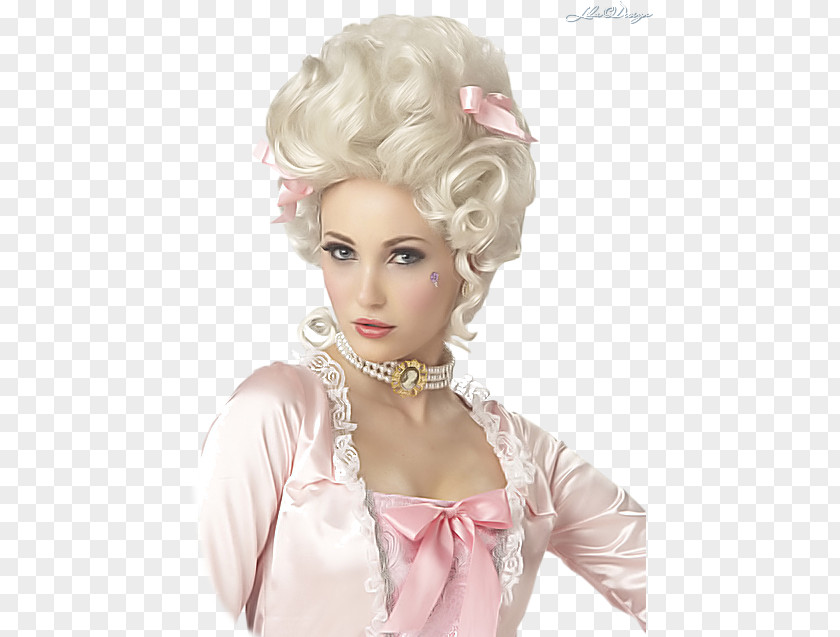 Marie Antoinette French Revolution Wig Costume Clothing PNG