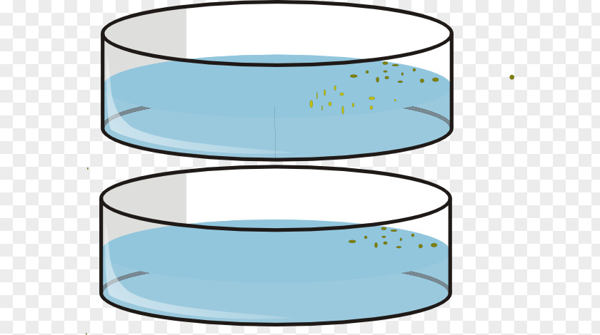 Petri Dishes Drawing Cylinder Clip Art PNG