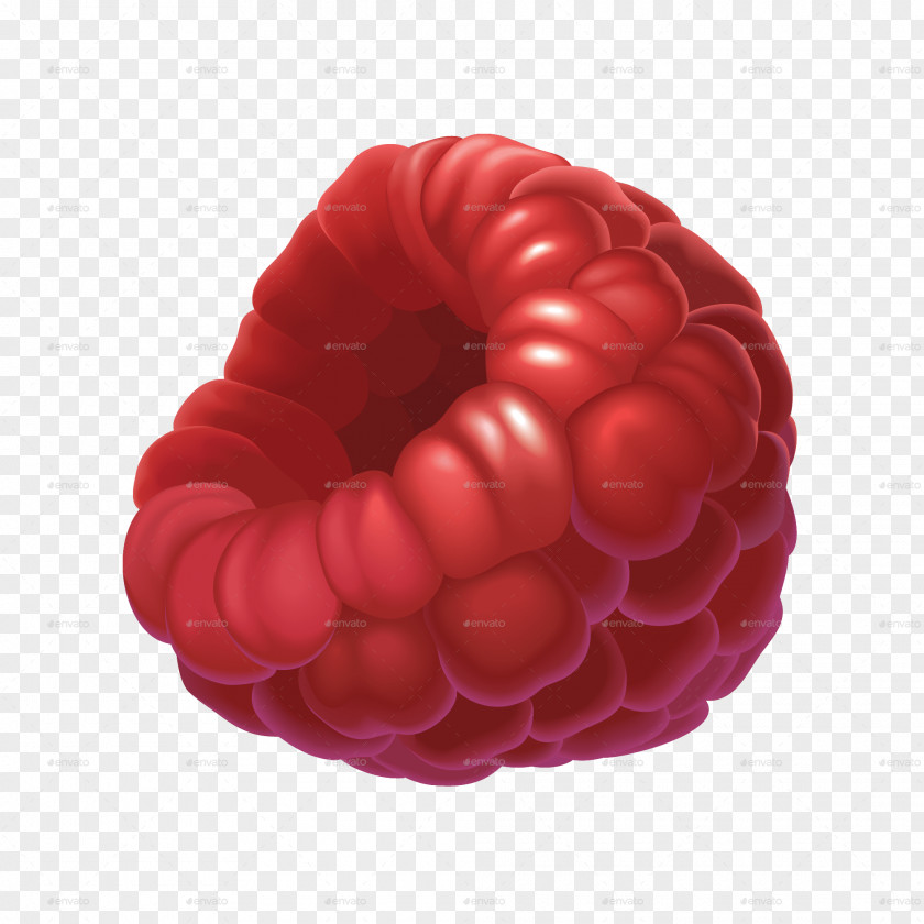 Raspberry Drawing PNG