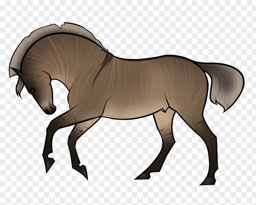 Canter And Gallop Mane Pony Foal Stallion Rein PNG