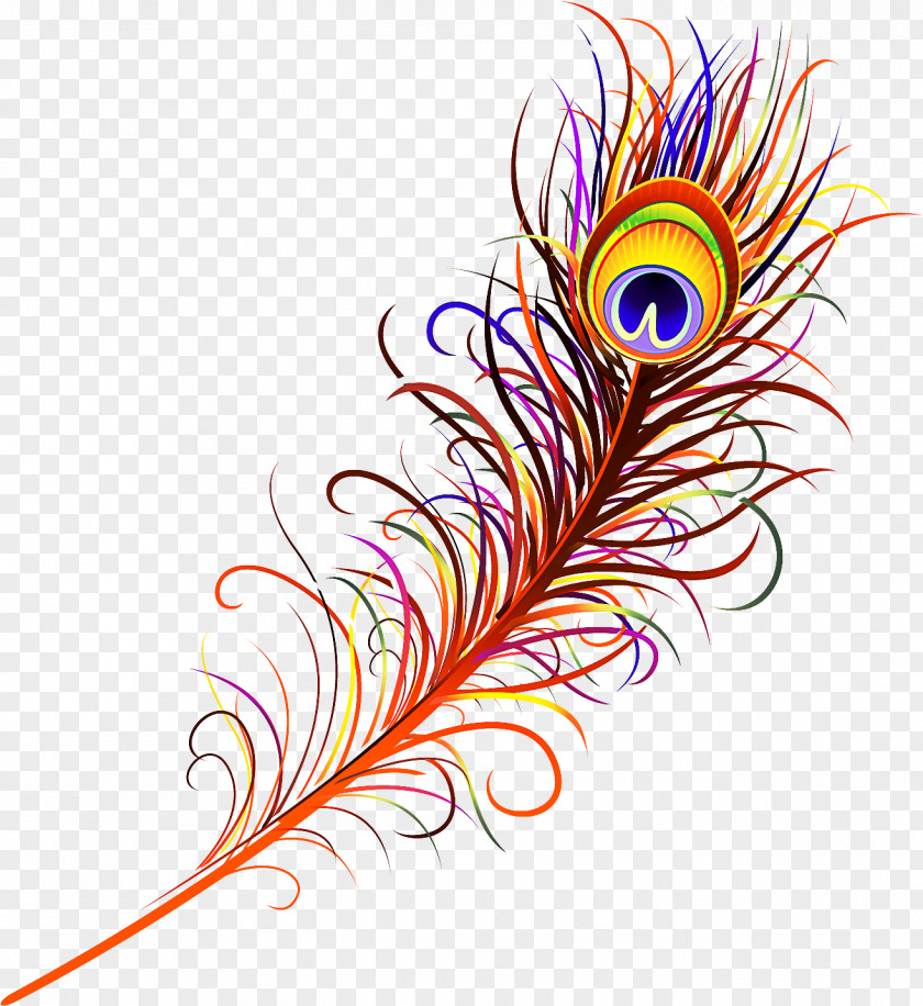Fashion Accessory Feather PNG