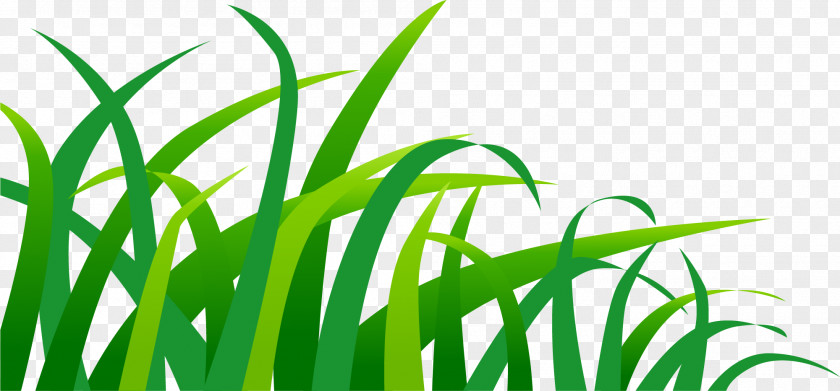 Hand Painted Green Grass Euclidean Vector PNG