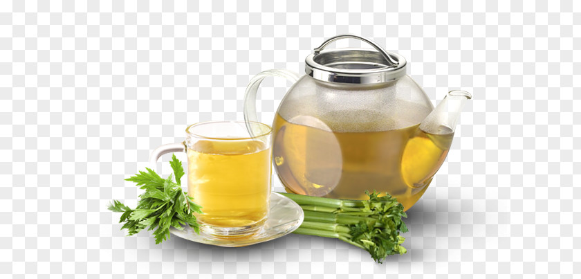 Tea Flowering Oolong Infusion Green PNG