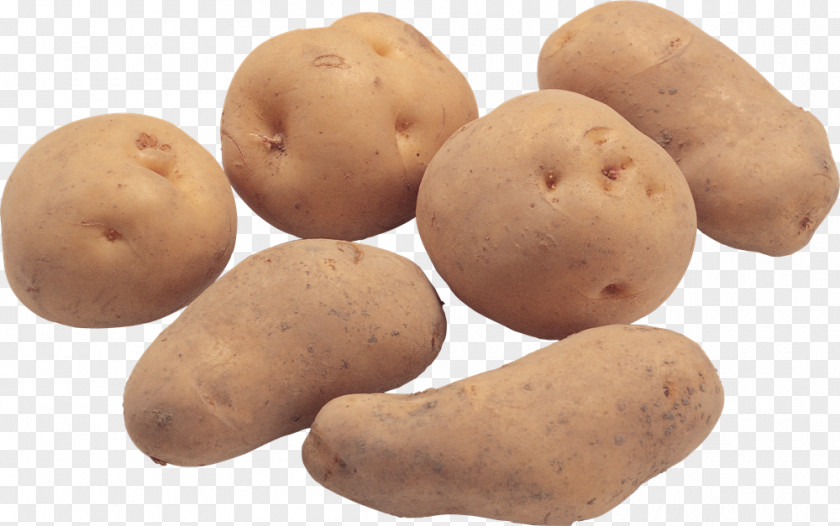 Vegetable Russet Burbank French Fries Baked Potato Fingerling PNG