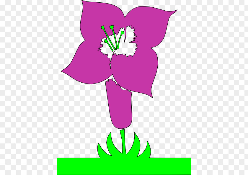 Animated Pictures Of Plants Flower Poster Drawing Clip Art PNG