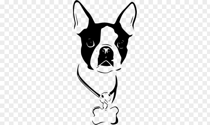 Boston Terrier Staffordshire Bull American Yorkshire Toy Fox PNG