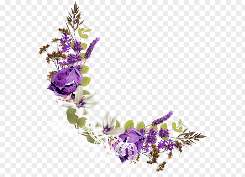 English Lavender Delphinium Flowers Background PNG