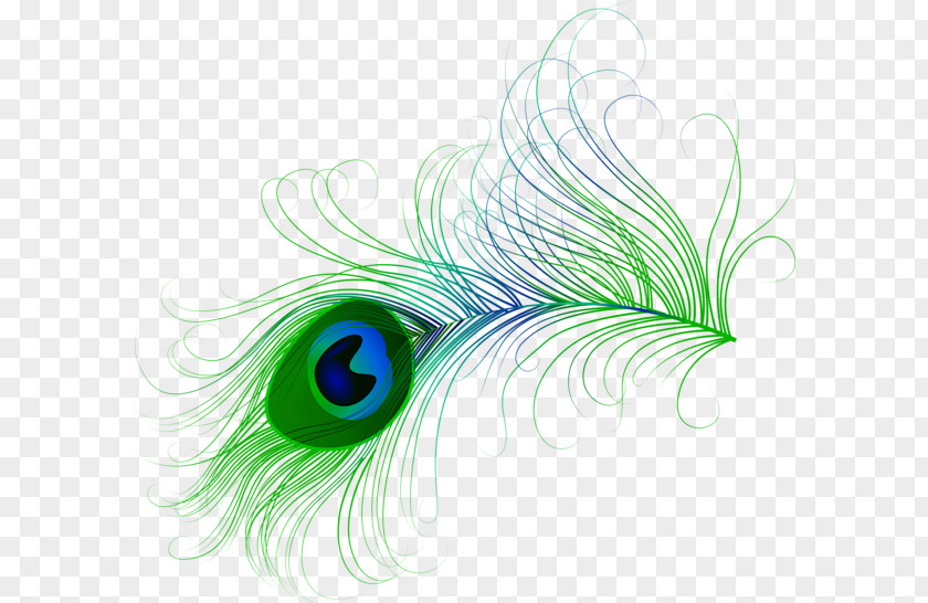 Hand-painted Peacock Feathers Feather Peafowl Bird Clip Art PNG