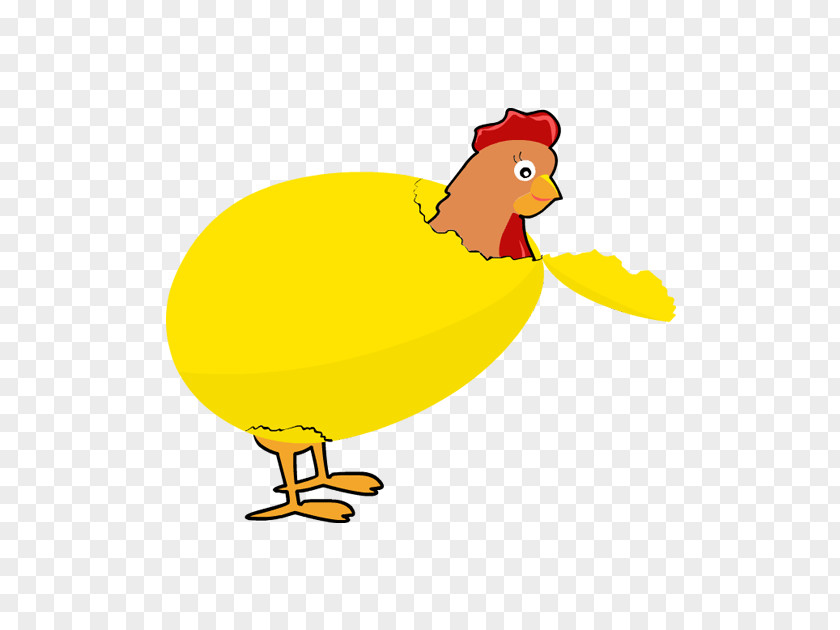 Hatch Cliparts Chicken Duck Rooster Bird Clip Art PNG