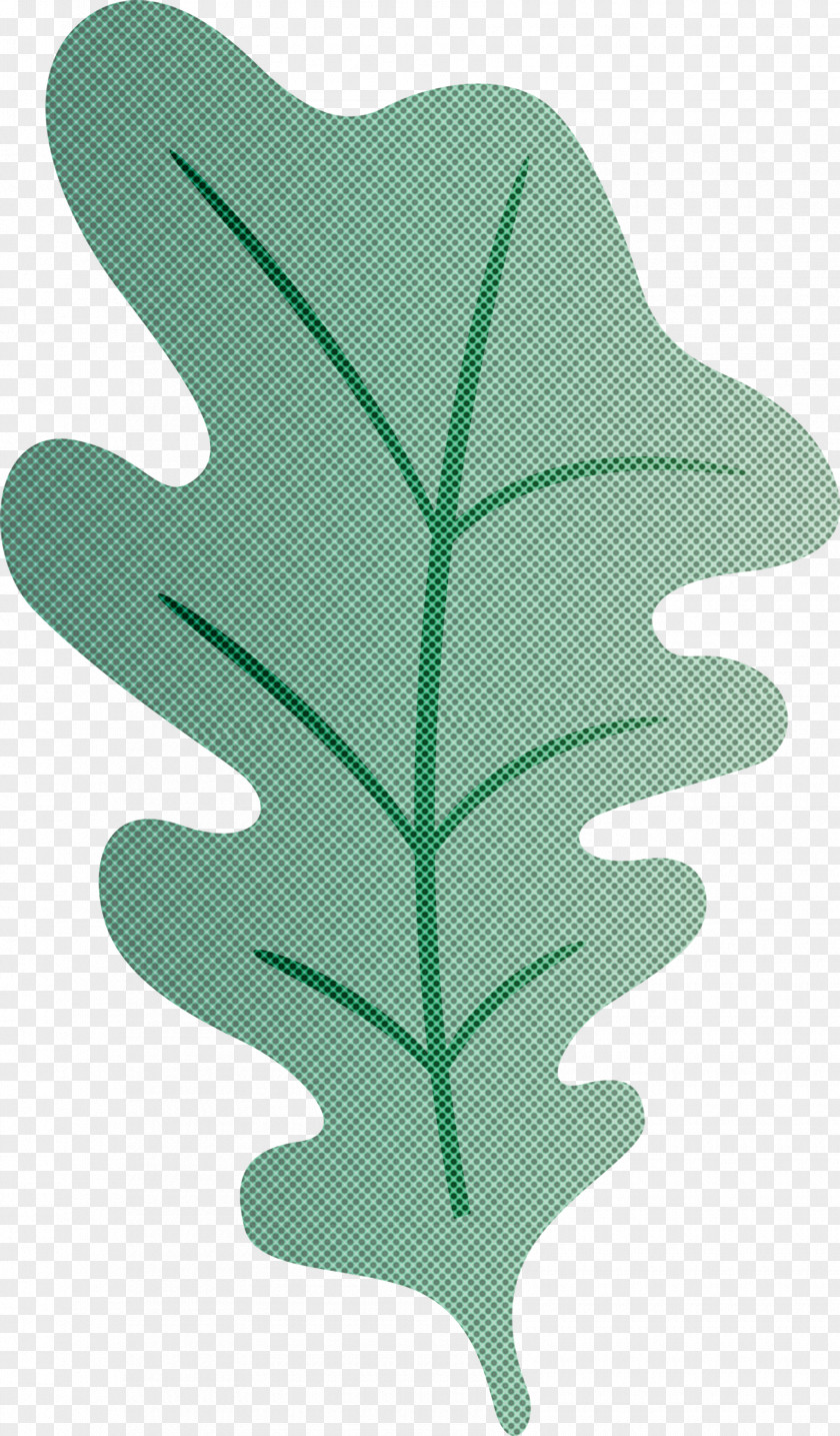 Oak Leaf PNG