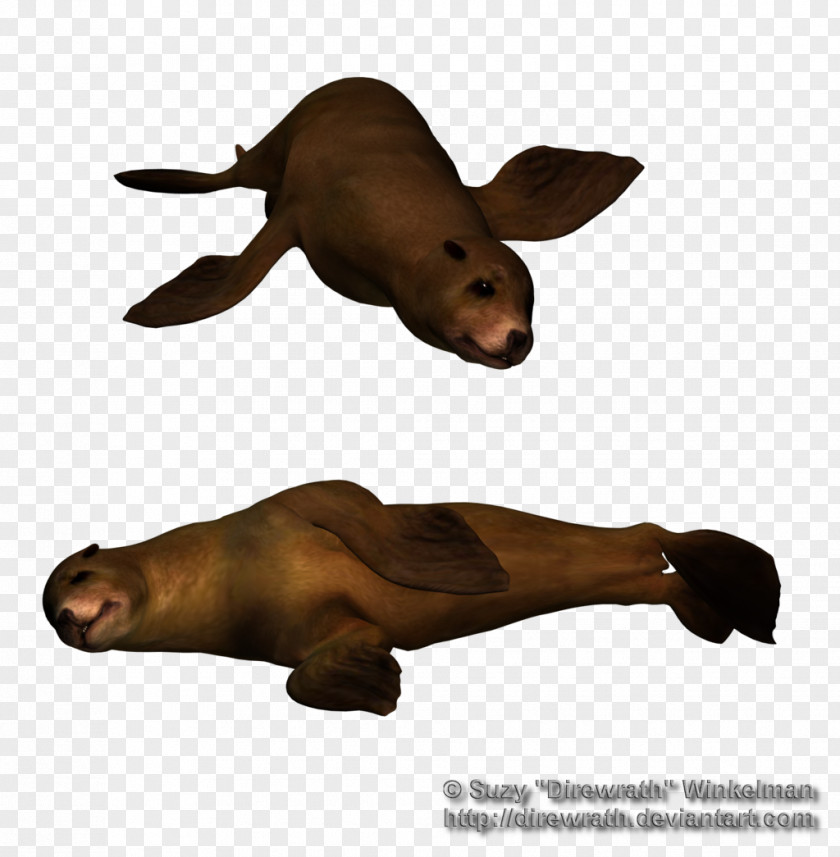 Under Sea Lion Marine Mammal Animal Horse PNG