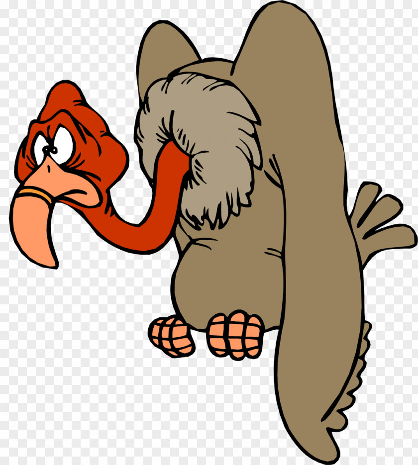 Vulture Turkey Beaky Buzzard Clip Art PNG