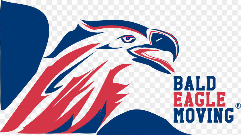 Bird Bald Eagle Moving LLC Beak Mover PNG