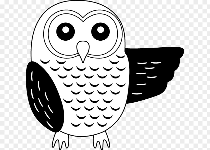 Bird Of Prey Ural Owl Black And White Clip Art PNG