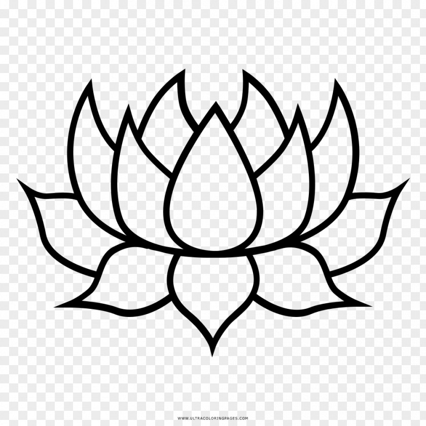 Buddhism Nelumbo Nucifera Maryland Drawing Clip Art PNG