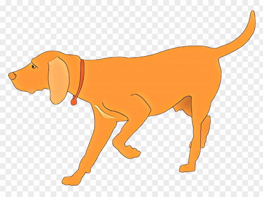 Dog Breed Pony Thoroughbred Vizsla Puppy PNG