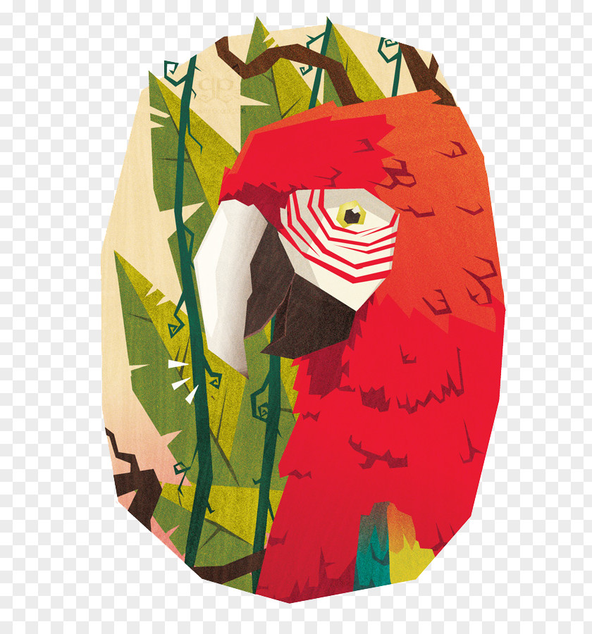 Exquisite Hand-painted Parrot Avatar PNG