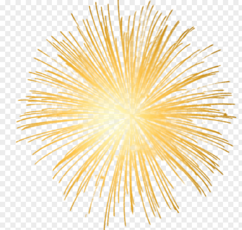 Fireworks New Year's Eve Clip Art PNG