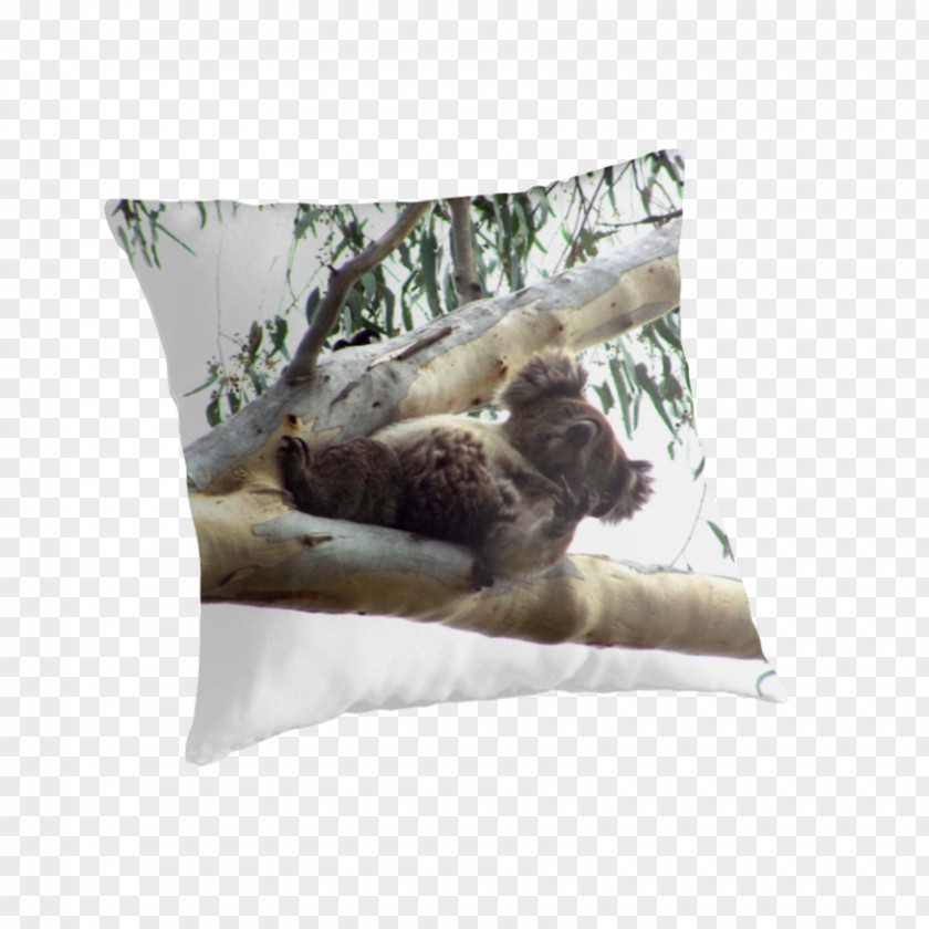 Flippers Koala Throw Pillows Cushion Marsupial PNG