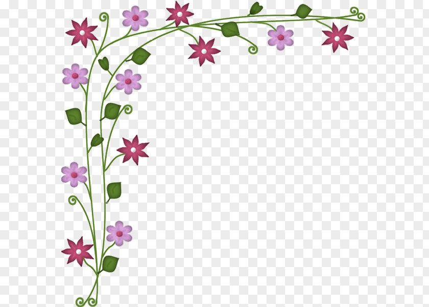 Floral Card Picture Frames Paper Flower Christmas PNG