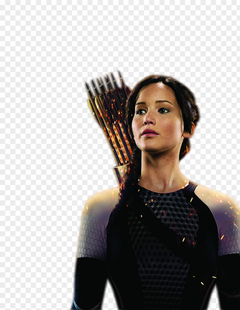 Microphone Kate Egan The Hunger Games: Official Illustrated Movie Companion Catching Fire Fire: PNG