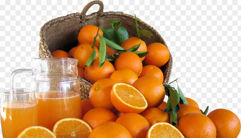 Orange Clementine Juice Bitter Tangerine Mandarin PNG