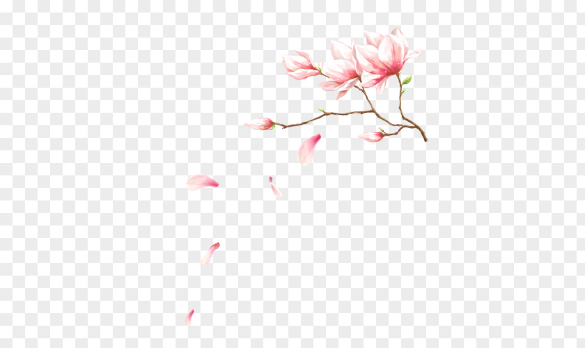 Pink Tree Branch Image Mid-Autumn Festival Flower Petal PNG