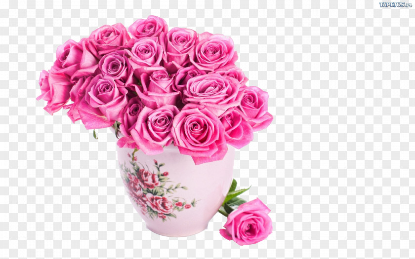 Plant Flower Bouquet Vase Rose Pink PNG