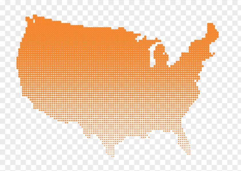 Vector Light Perception Flag Of The United States Map PNG