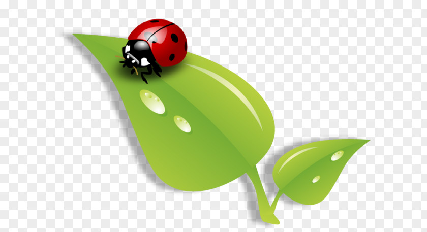Baby Ladybugs Ladybird Beetle Leaf Clip Art Streamline Creations LLC PNG