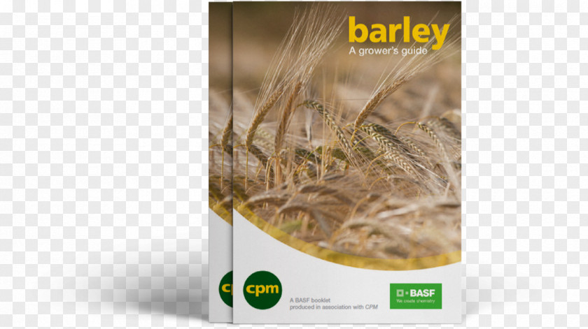 Barley Beer BASF Agronomy Variety PNG