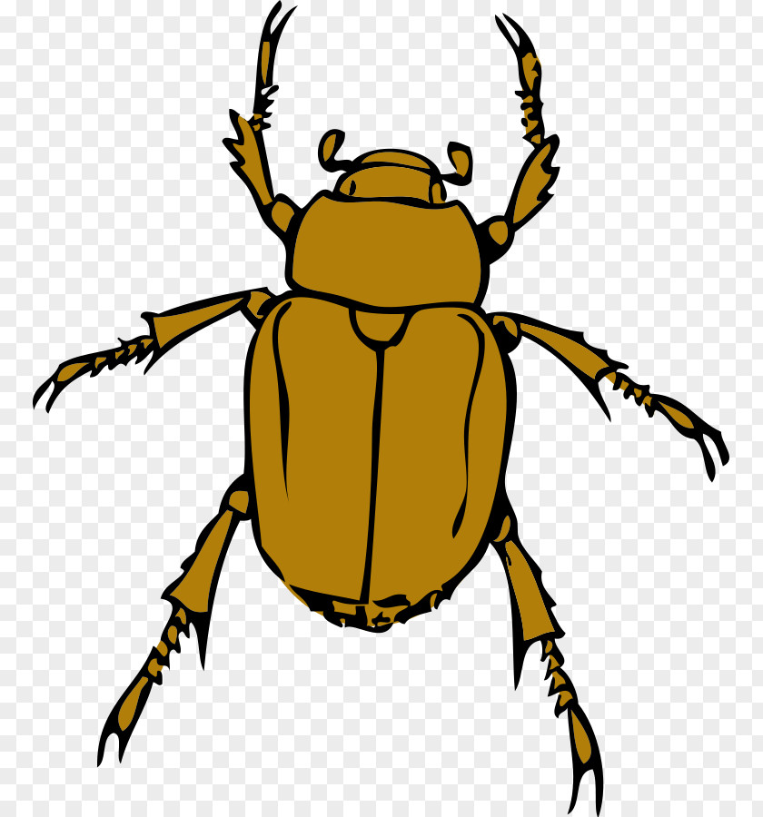 Free Bug Clipart Download Clip Art PNG