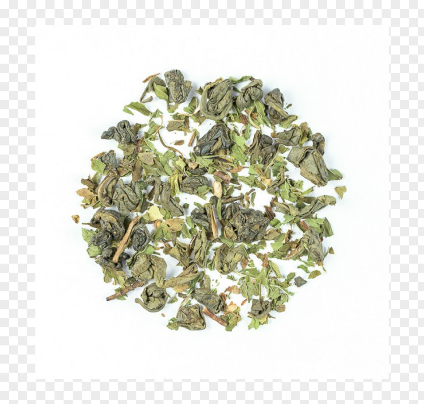Green Tea Gunpowder English Breakfast Sencha PNG