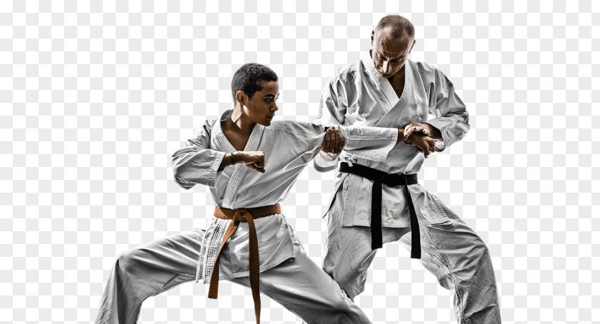 Karate Brazilian Jiu-jitsu Jujutsu Grappling Kenpō PNG