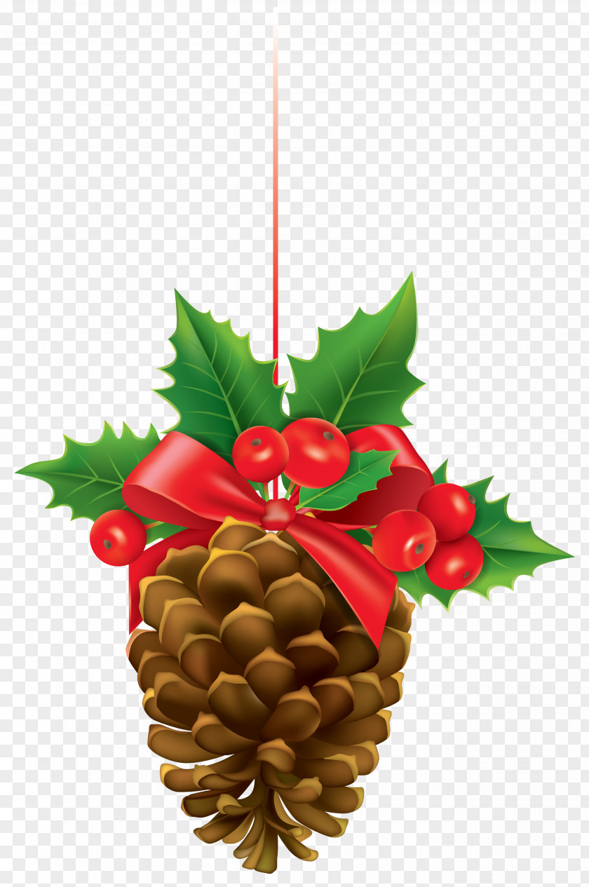 Pine Cone Christmas Decoration Ornament Conifer PNG