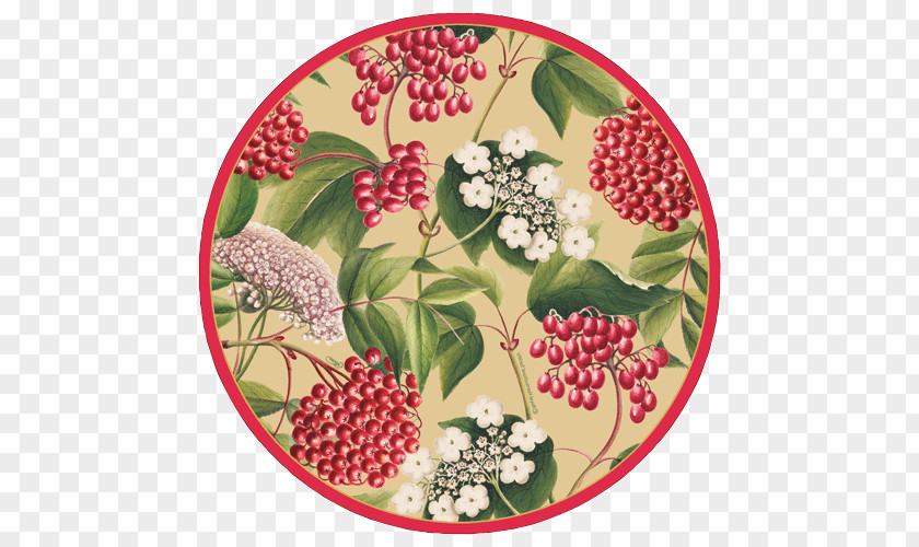 Plate Dishware Plant Berry Flower PNG