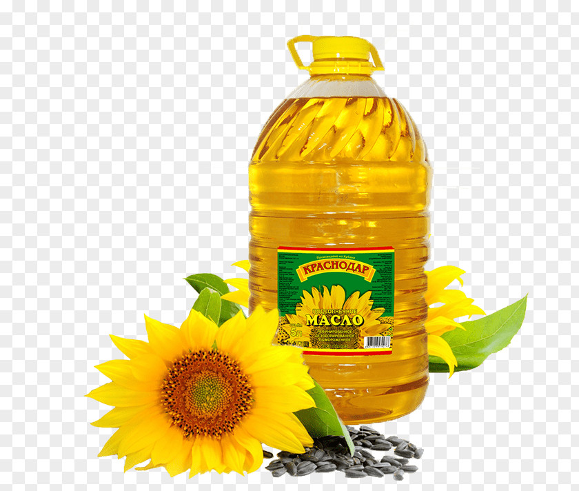 Sunflower Oil Common Refining Seed PNG