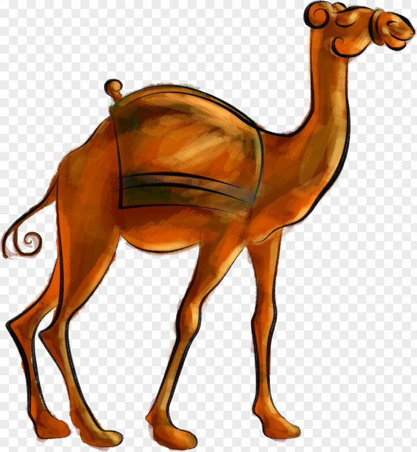 Camel Desert PNG