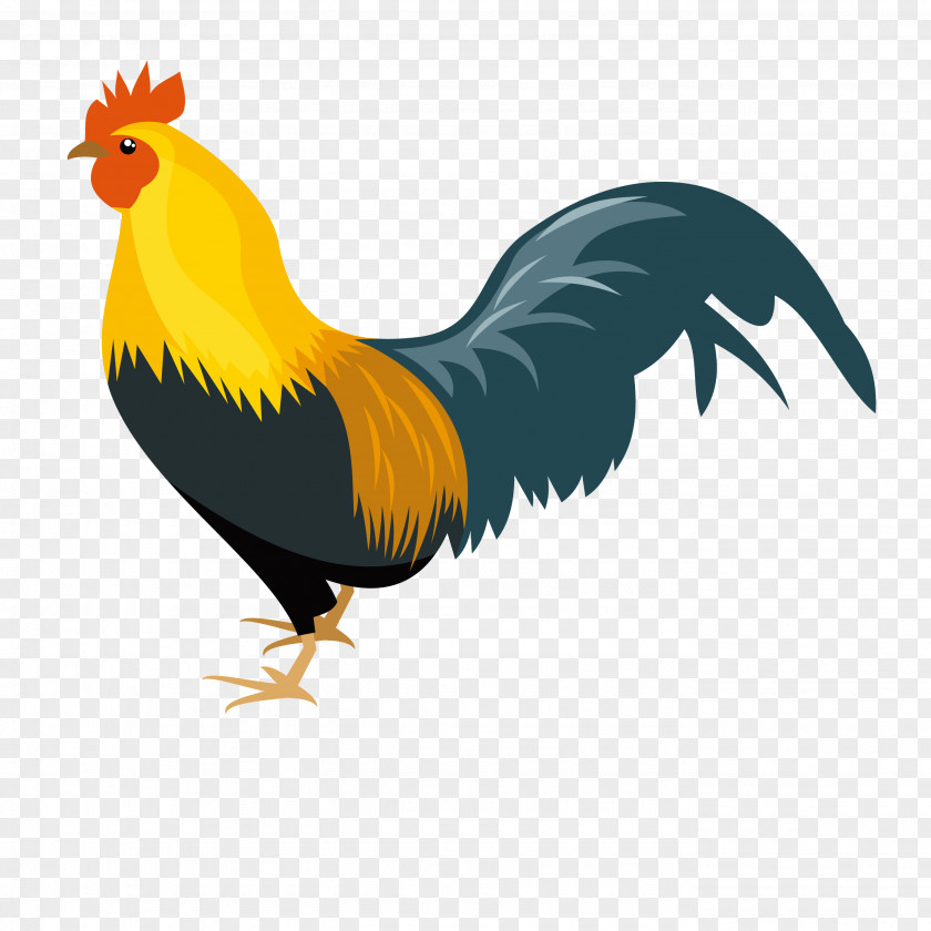 Cartoon Big Cock Rooster Chicken Drawing Clip Art PNG