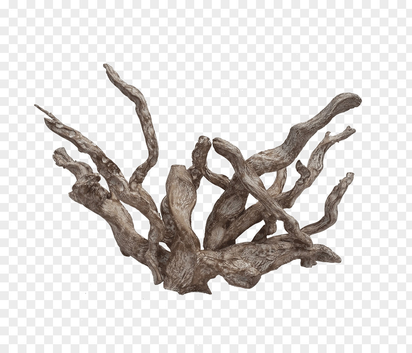 Driftwood Art White River Coral Pacific PNG