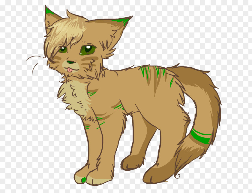 Kitten Whiskers Wildcat Tabby Cat PNG