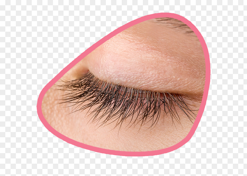 Long Eyelashes Eyelash Extensions GL Beautycompany GmbH Plexaura Homomalla Artificial Hair Integrations PNG