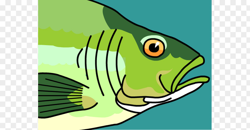 Gill Cliparts Fish Clip Art PNG