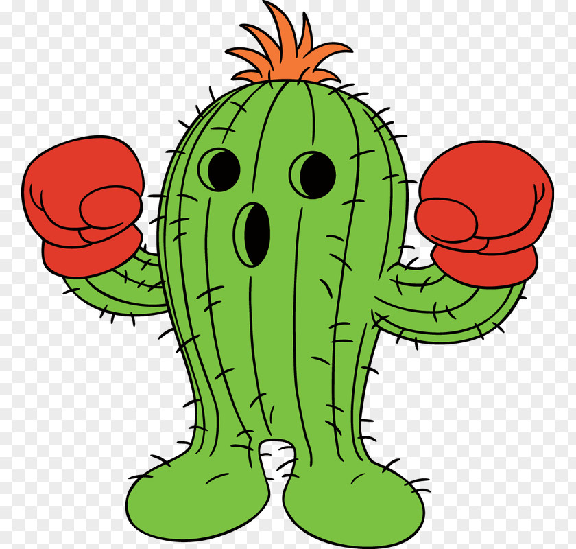 Plant Cartoon Cactus PNG